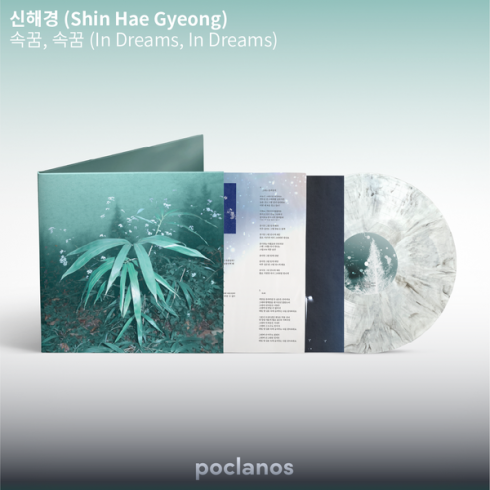 HYUKOH '24: HOW TO FIND TRUE LOVE' LP VINYL (TRANSPARENT RED COLOR LP)